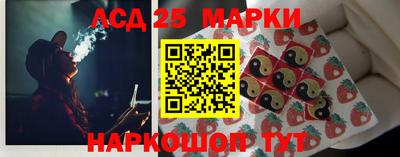 индика Беслан