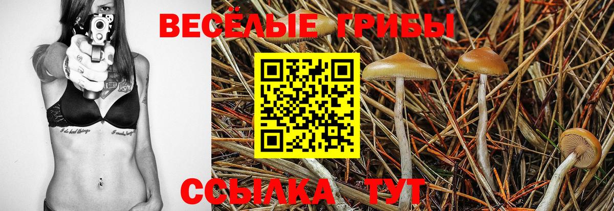 Галлюциногенные грибы MAGIC MUSHROOMS Дербент