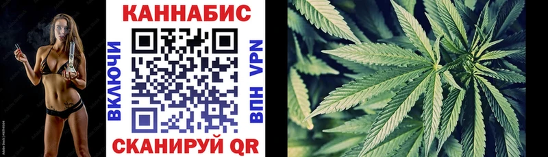 MEGA ONION  Дербент  Конопля индика 